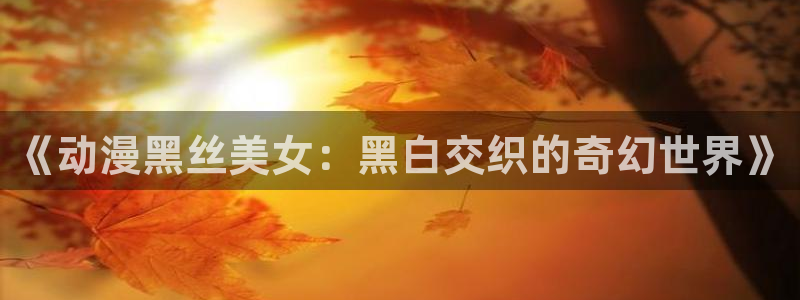 omofun网址：《动漫黑丝美女：黑白交织的奇幻世界》